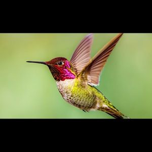 Meet your Posher, Juana